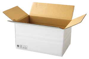 100������ ����ܡ��� ��