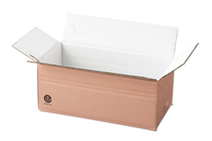 60������ ����ܡ��� �ԥ�