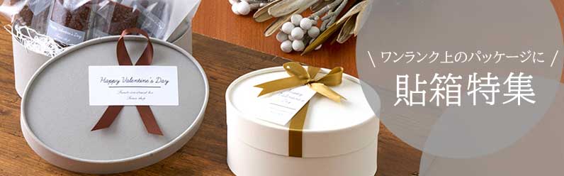 Ž Ȣ �� ����