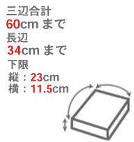 3�չ��60cm����