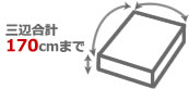 3�չ�ס�170cm����