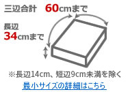 3�չ��60cm����